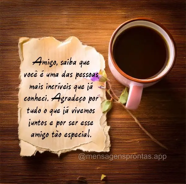 Amigo, saiba que você é uma das pessoas mais incríveis que já conheci. Agradeço por tudo o que já vivemos juntos e por ser esse amigo tão especial...