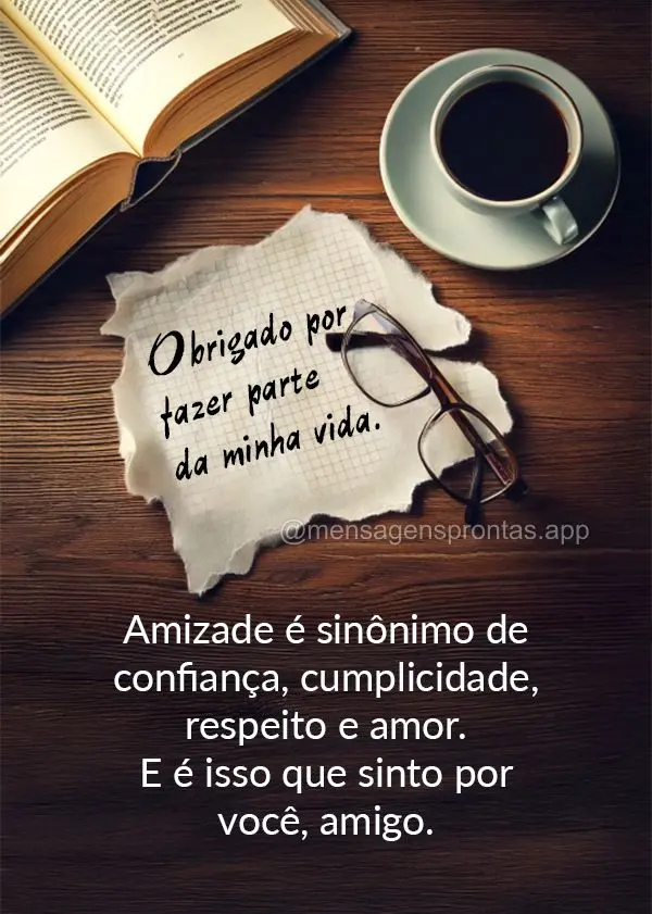 Amizade é sinônimo de confiança, cumplicidade, respeito e amor. E é isso que sinto por você, amigo. Obrigado por fazer parte da minha vida.