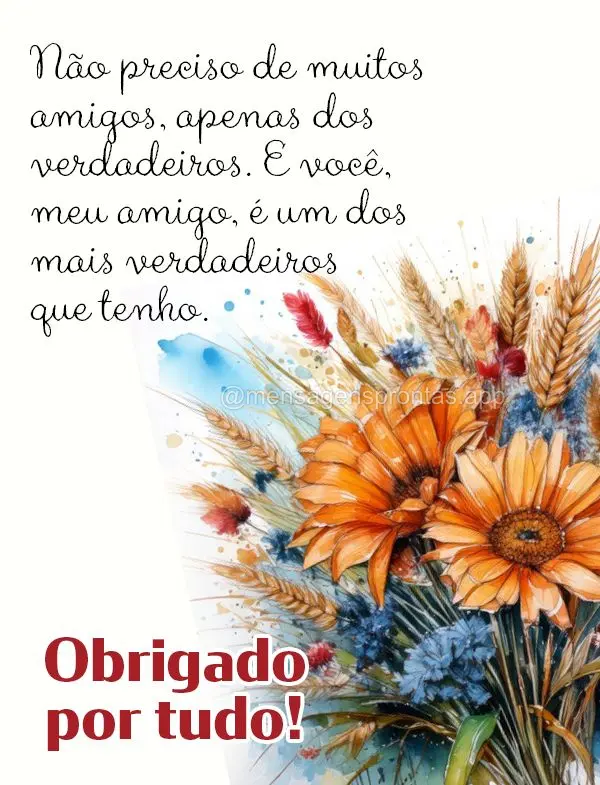 Não preciso de muitos amigos, apenas dos verdadeiros. E você, meu amigo, é um dos mais verdadeiros que tenho. Obrigado por tudo!