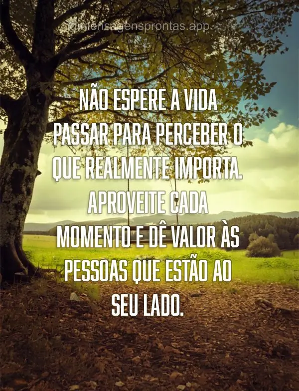 Não espere a vida passar para perceber o que realmente importa. Aproveite cada momento e dê valor às pessoas que estão ao seu lado.