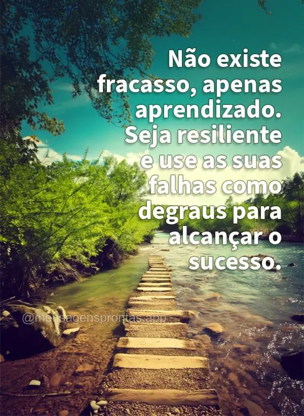 Não existe fracasso, apenas aprendizado. Seja resiliente e use as suas falhas como degraus para alcançar o sucesso.