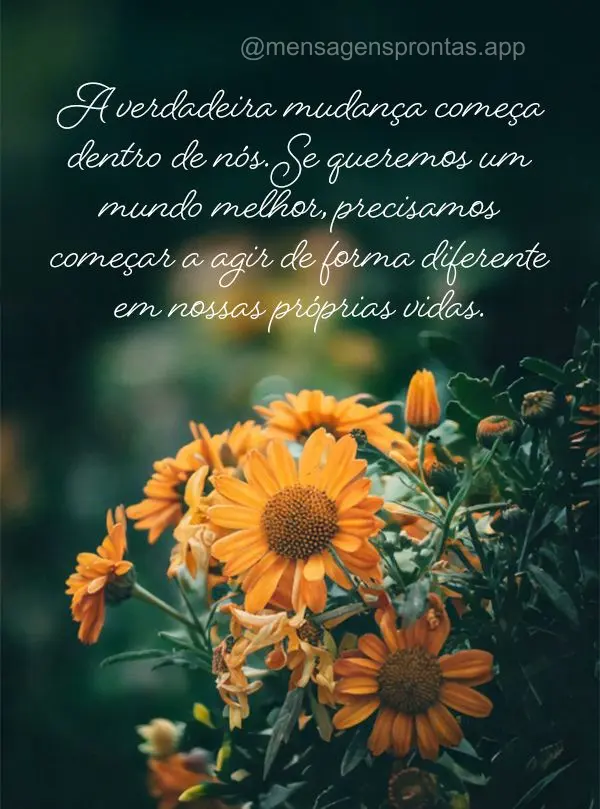"A verdadeira mudança começa dentro de nós. Se queremos um mundo melhor, precisamos começar a agir de forma diferente em nossas próprias vidas."
