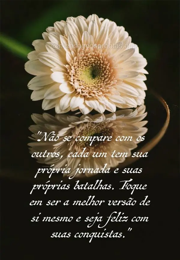 "Não se compare com os outros, cada um tem sua própria jornada e suas próprias batalhas. Foque em ser a melhor versão de si mesmo e seja feliz com su...