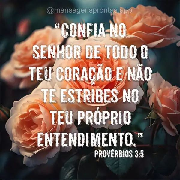 "Confia no Senhor de todo o teu coração e não te estribes no teu próprio entendimento." Provérbios 3:5