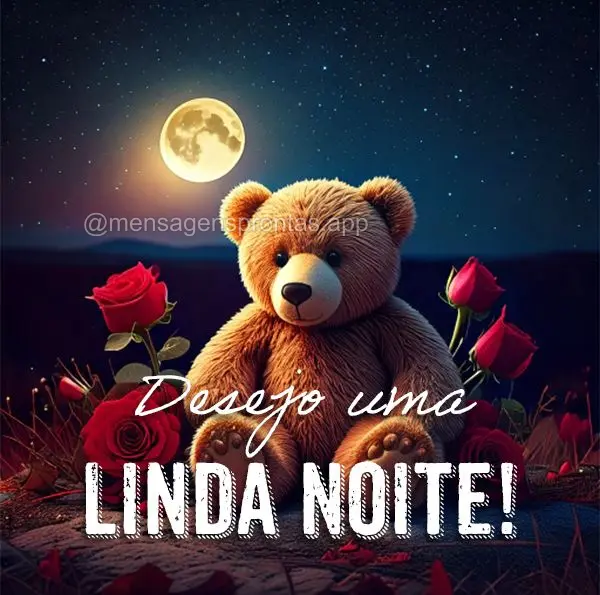 Desejo uma Linda noite!