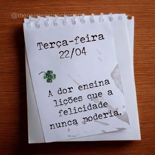 A dor ensina lições que a felicidade nunca poderia. Terça-feira 22/04 