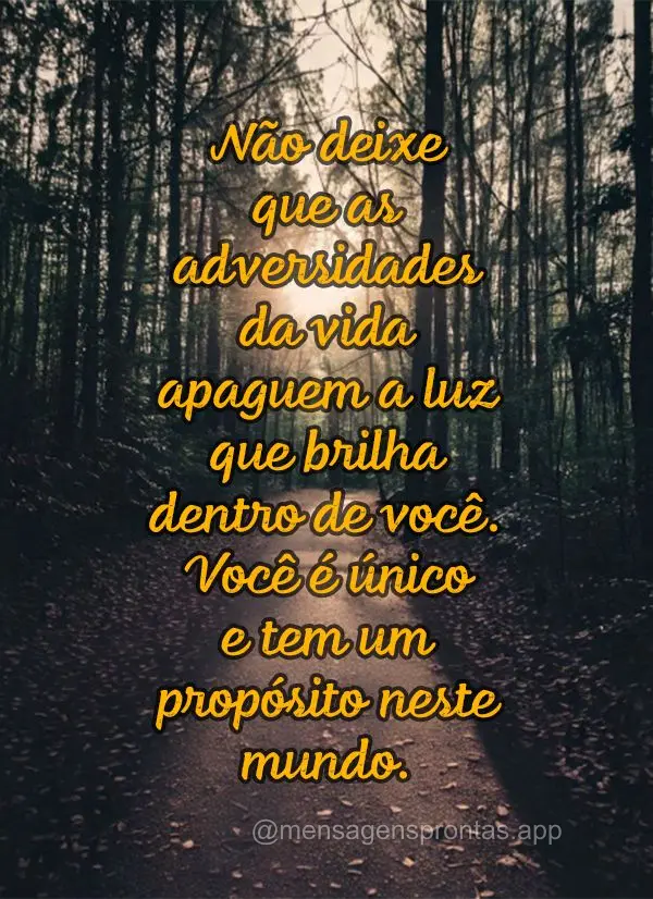 Não deixe que as adversidades da vida apaguem a luz que brilha dentro de você. Você é único e tem um propósito neste mundo.