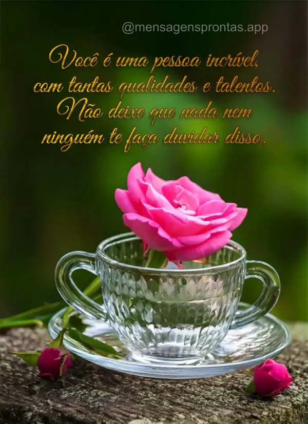 Você é uma pessoa incrível, com tantas qualidades e talentos. Não deixe que nada nem ninguém te faça duvidar disso.