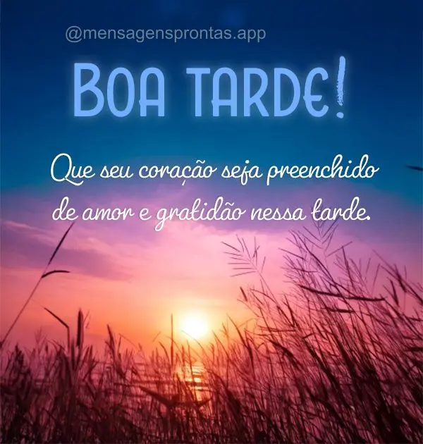 Que seu coração seja preenchido de amor e gratidão nessa tarde. Você é uma pessoa especial e merece todo o amor e carinho que o mundo tem a oferecer...