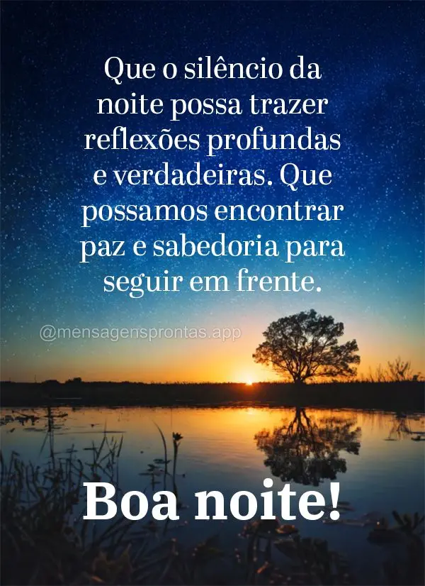 Que o silêncio da noite possa trazer reflexões profundas e verdadeiras. Que possamos encontrar paz e sabedoria para seguir em frente. Boa noite!