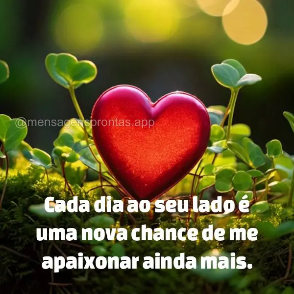 Cada dia ao seu lado é uma nova chance de me apaixonar ainda mais.