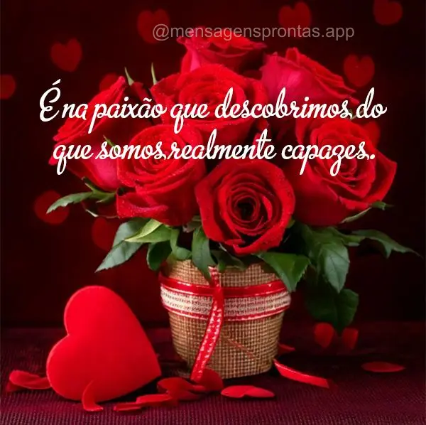 "É na paixão que descobrimos do que somos realmente capazes."
