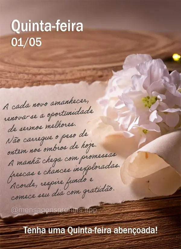 A cada novo amanhecer, renova-se a oportunidade de sermos melhores. Não carregue o peso de ontem nos ombros de hoje. A manhã chega com promessas fresca...