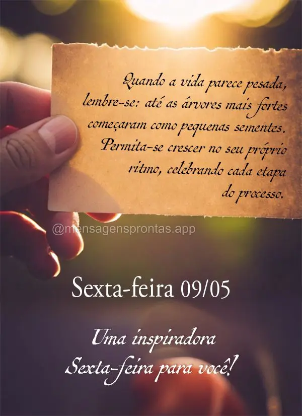 Quando a vida parece pesada, lembre-se: até as árvores mais fortes começaram como pequenas sementes. Permita-se crescer no seu próprio ritmo, celebra...