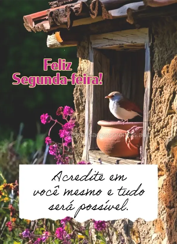 Acredite em você mesmo e tudo será possível. Feliz Segunda-feira!
