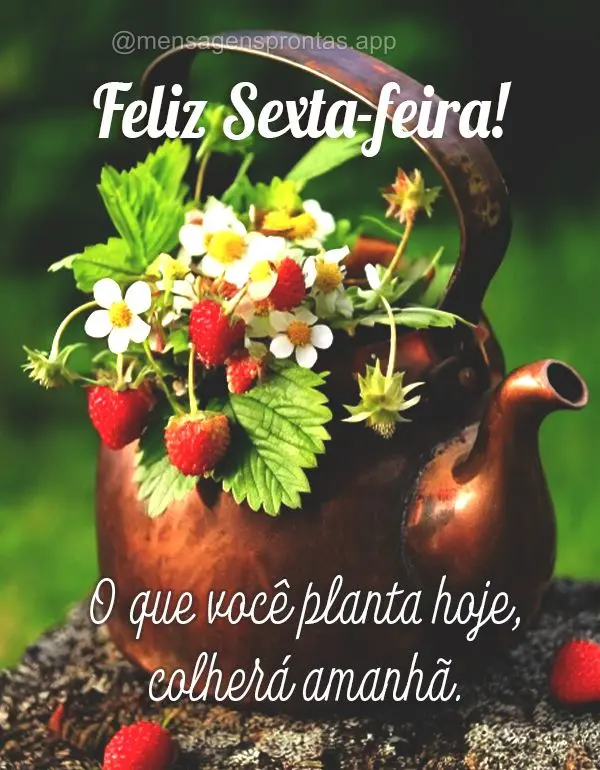 O que você planta hoje, colherá amanhã. Feliz Sexta-feira!