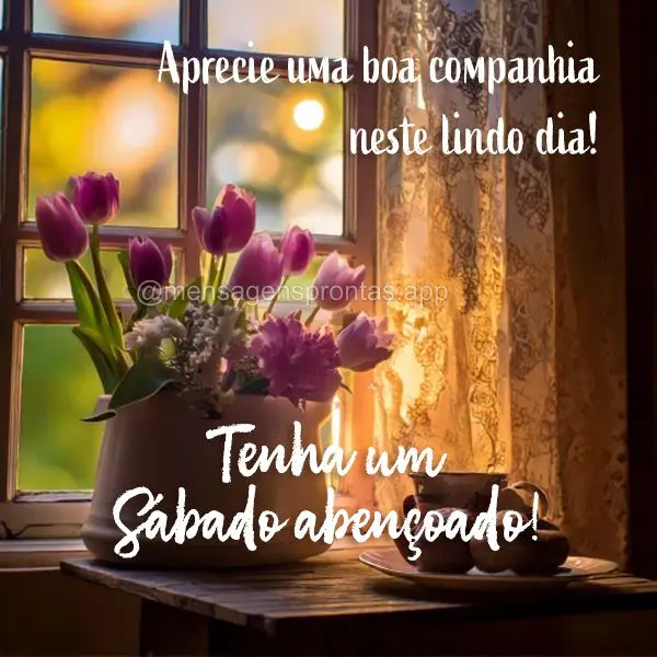 Aprecie uma boa companhia neste lindo dia! Tenha um Sábado abençoado!