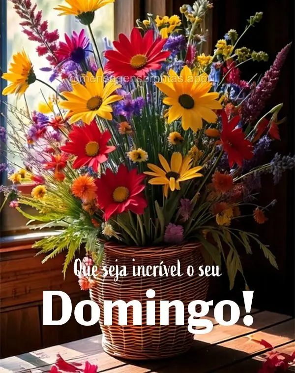 Que seja incrível o seu Domingo!