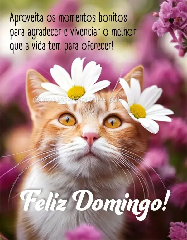 Aproveita os momentos bonitos para agradecer e vivenciar o melhor que a vida tem para oferecer! Feliz Domingo!