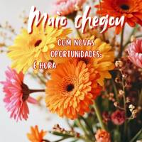 com novas oportunidades: é hora de florescer com tudo que você plantou.
 Maio chegou