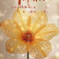 o equilíbrio entre a calma da alma e a força da ação.
 Maio: