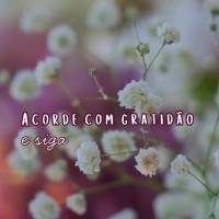 Acorde com gratidão
e siga com propósito.