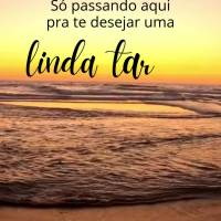 Só passando aqui pra te desejar uma
 linda tarde!