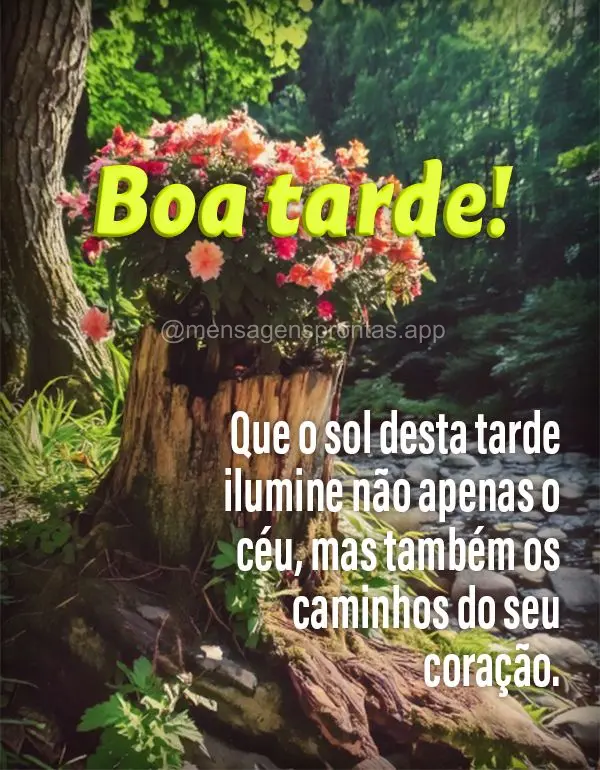 Que o sol desta tarde ilumine não apenas o céu, mas também os caminhos do seu coração. Boa tarde!