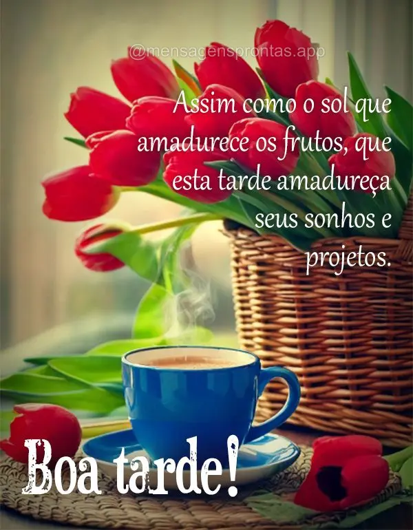 Que a serenidade desta tarde traga um novo fôlego para suas esperanças e um novo brilho para seu sorriso. Boa tarde!