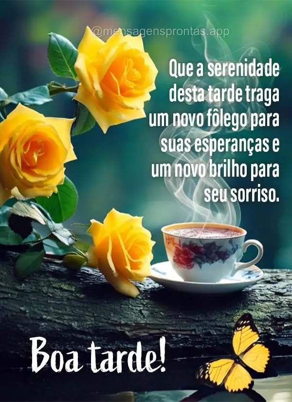 Desejo que sua tarde seja como um abraço caloroso - reconfortante, sincero e cheio de carinho. Boa tarde!