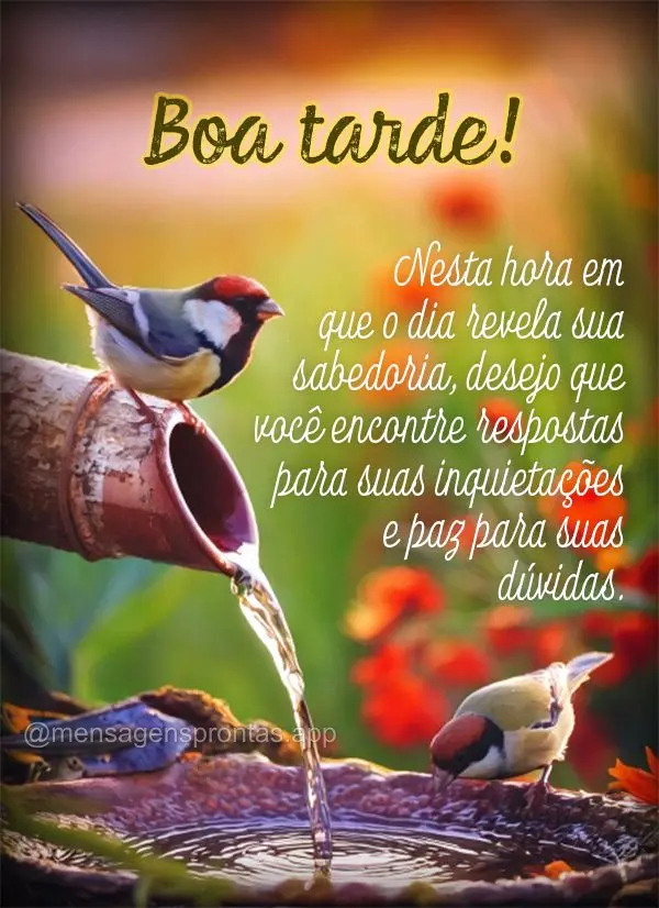 Nesta hora em que o dia revela sua sabedoria, desejo que você encontre respostas para suas inquietações e paz para suas dúvidas. Boa tarde!