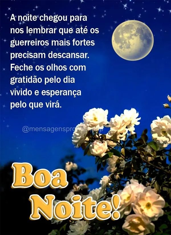 A noite chegou para nos lembrar que até os guerreiros mais fortes precisam descansar. Feche os olhos com gratidão pelo dia vivido e esperança pelo que...
