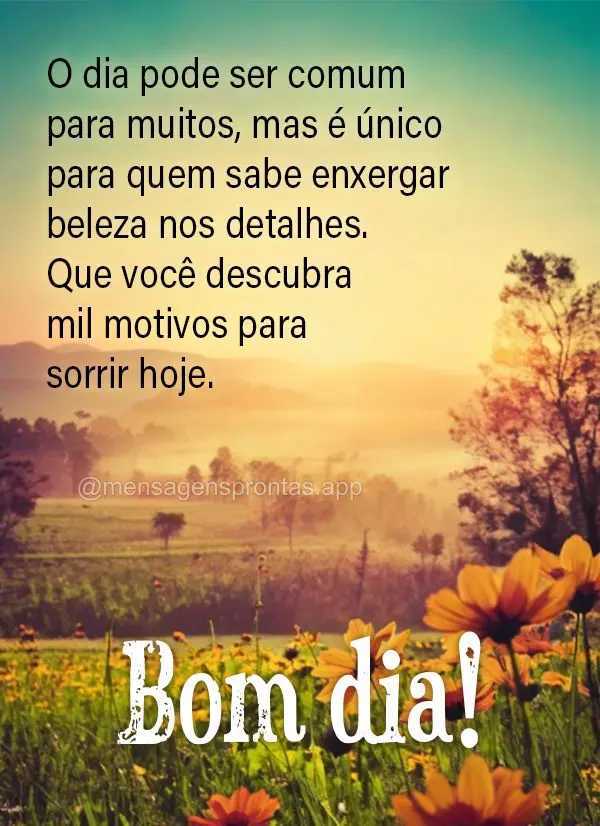 O dia pode ser comum para muitos, mas é único para quem sabe enxergar beleza nos detalhes. Que você descubra mil motivos para sorrir hoje. Bom dia!