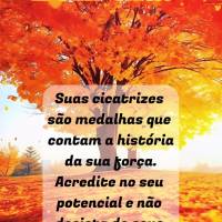 Suas cicatrizes são medalhas que contam a história da sua força. Acredite no seu potencial e não desista de seus sonhos! Bom dia! 