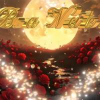 Acredite no seu potencial. Você tem tudo o que precisa para transformar sonhos em realidade. Boa noite!