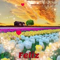 Acredite em si mesmo quando ninguém mais acreditar. É esse momento que define sua verdadeira força. Feliz Domingo!