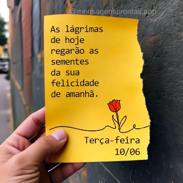 As lágrimas de hoje regarão as sementes da sua felicidade de amanhã. Terça-feira 10/06