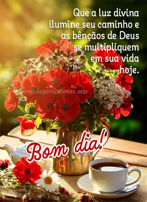 Que a luz divina ilumine seu caminho e as bênçãos de Deus se multipliquem em sua vida hoje. Bom dia!