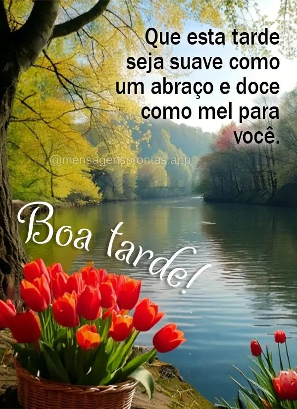 Que esta tarde seja suave como um abraço e doce como mel para você. Boa tarde! Boa tarde