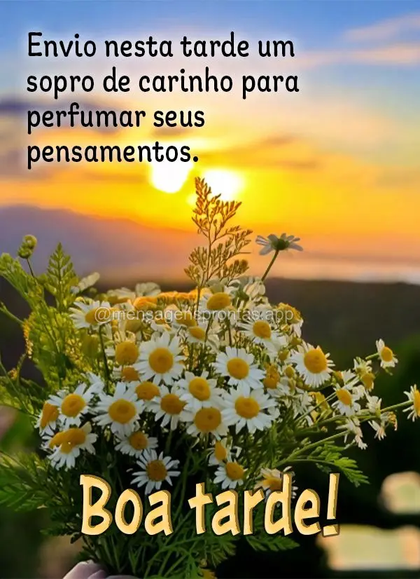 Envio nesta tarde um sopro de carinho para perfumar seus pensamentos. Boa tarde!
