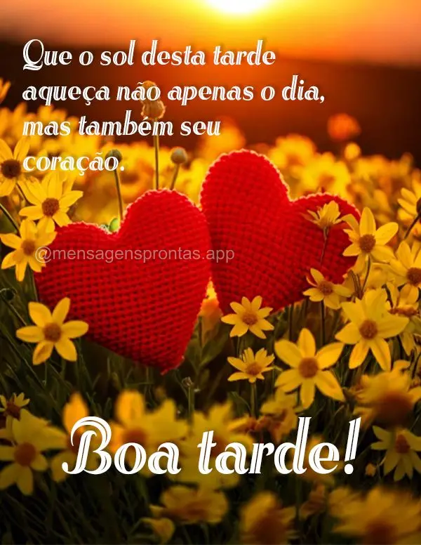 Que o sol desta tarde aqueça não apenas o dia, mas também seu coração. Boa tarde!