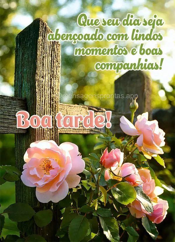 Que seu dia seja abençoado com lindos momentos e boas companhias! Boa tarde!