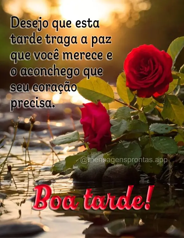 Desejo que esta tarde traga a paz que você merece e o aconchego que seu coração precisa. Boa tarde!