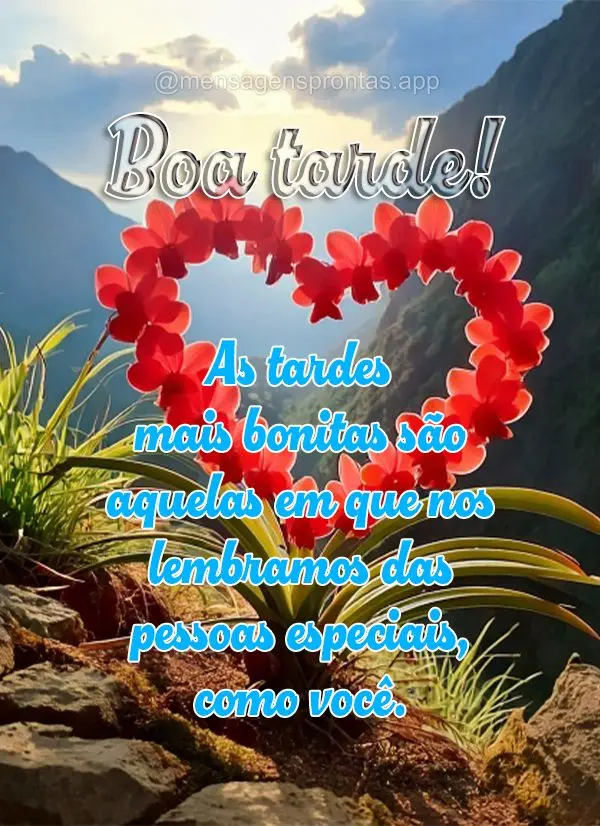 As tardes mais bonitas são aquelas em que nos lembramos das pessoas especiais, como você. Boa tarde!