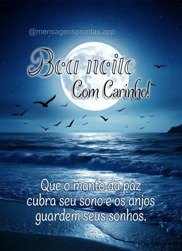 Que o manto da paz cubra seu sono e os anjos guardem seus sonhos.  Boa noite com carinho!