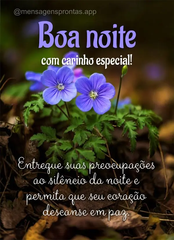 Entregue suas preocupações ao silêncio da noite e permita que seu coração descanse em paz. Boa noite!