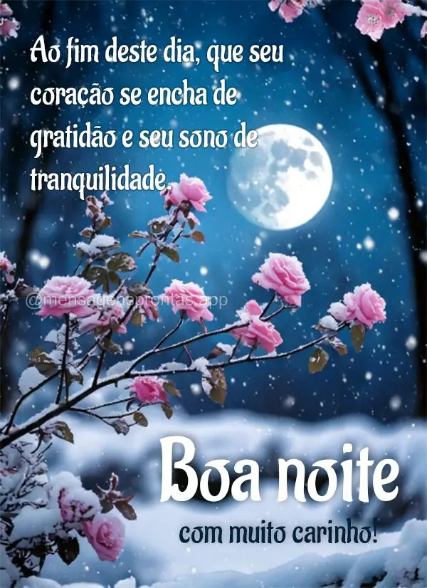Ao fim deste dia, que seu coração se encha de gratidão e seu sono de tranquilidade.  Boa noite com muito carinho!