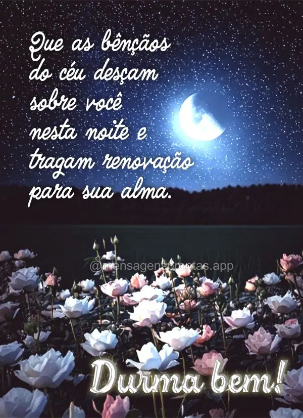 Que as bênçãos do céu desçam sobre você nesta noite e tragam renovação para sua alma.  Durma bem!