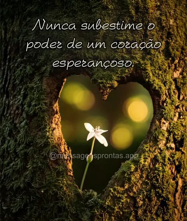 Nunca subestime o poder de um coração esperançoso.