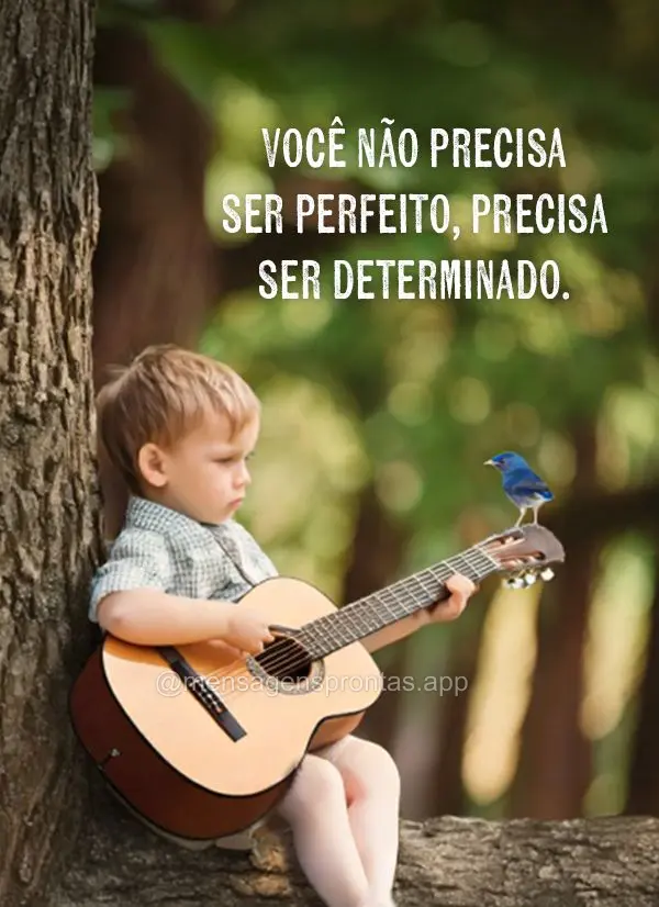 Você não precisa ser perfeito, precisa ser determinado.